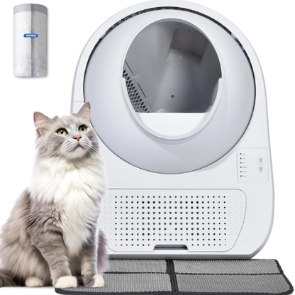 CatSync