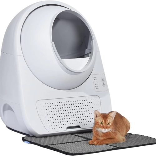 CatSync