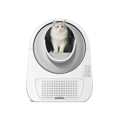 CatSync