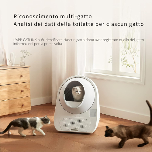 CatSync